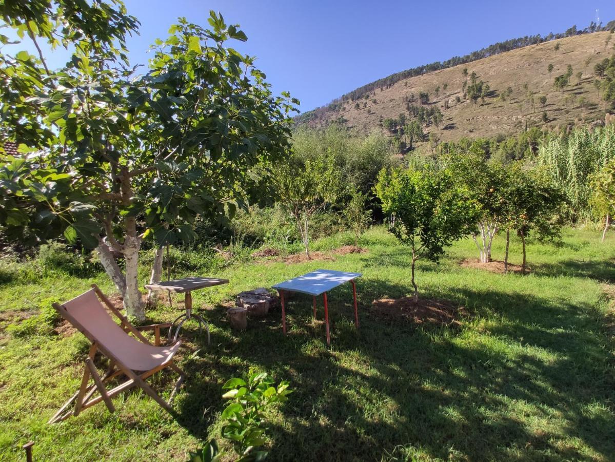 Olive B&B Berat Exterior foto