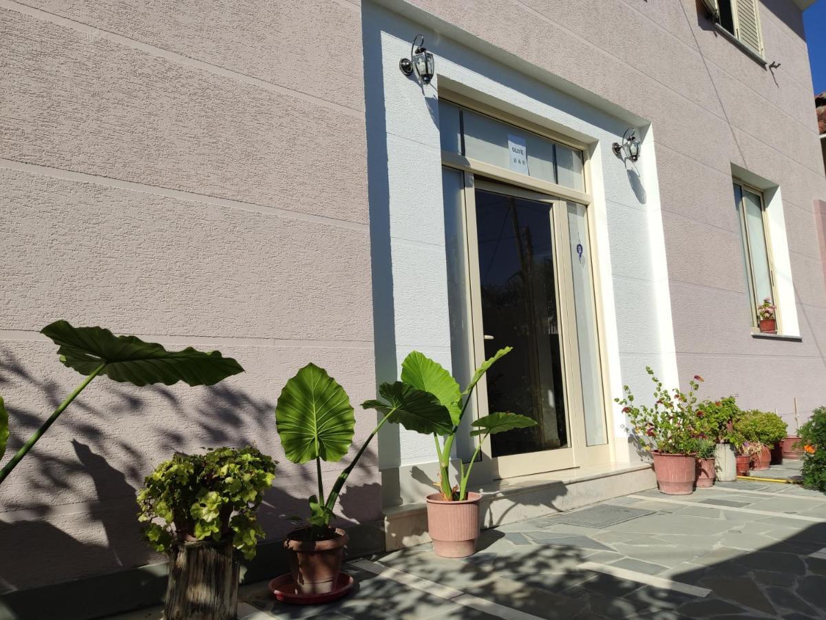 Olive B&B Berat Exterior foto